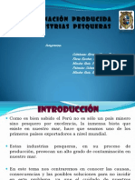 contaminacionproducidaporindustriaspesqueras-100627152741-phpapp01