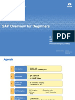 SAP Overview For Beginners 1.0