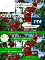 I Especialización.pptx Cereza