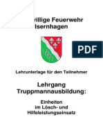 Truppmann Le TH fwdv3 100708 PDF