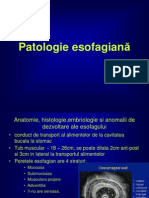 Patologie Esofagiana - Curs 1
