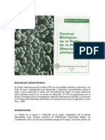 Control biológico de la polilla de la papa con Baculovirus phthorimaea