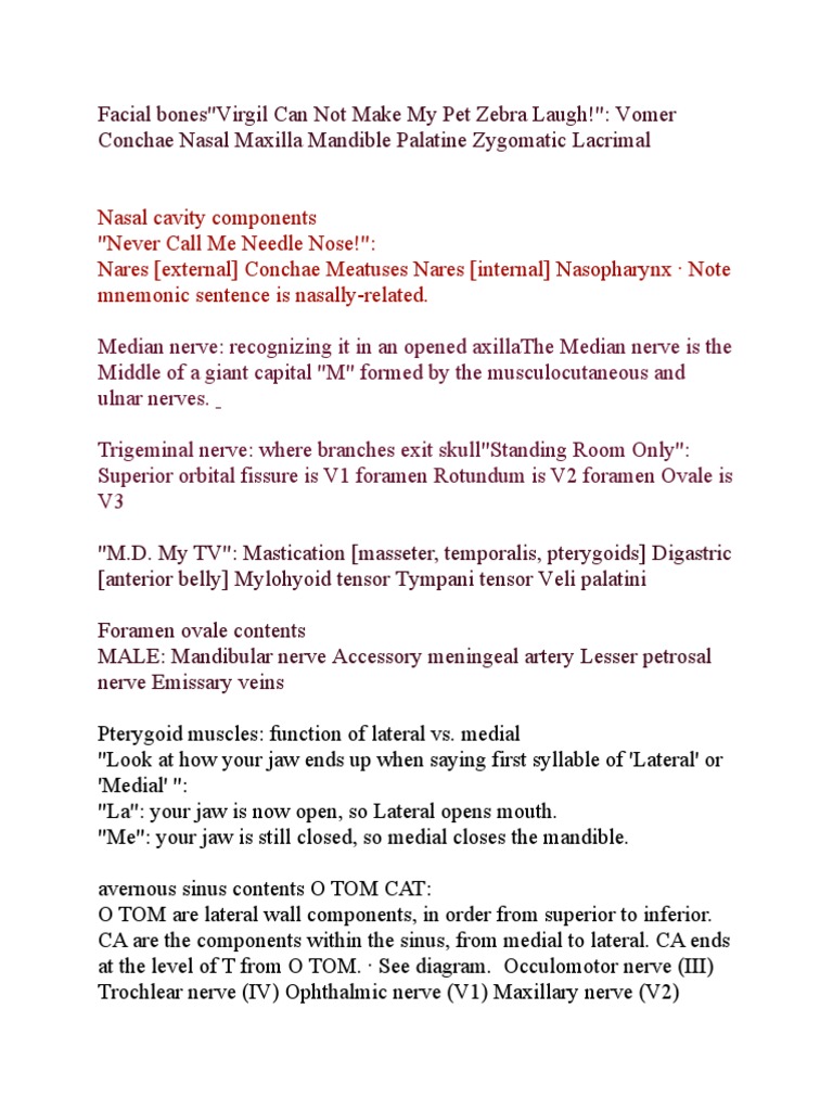 Anatomy Head and Neck mnemonics Skull Human Head And Neck