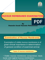 Examination of Mucous Membranes