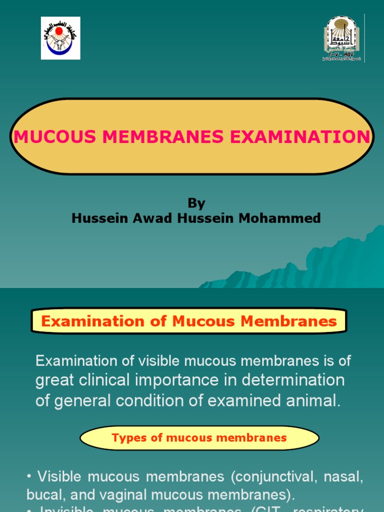 Mucous Membrane Examination Guide | PDF | Mucus | Cell Membrane
