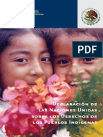 CDI Declaracion Onu Pueblos Indigenas