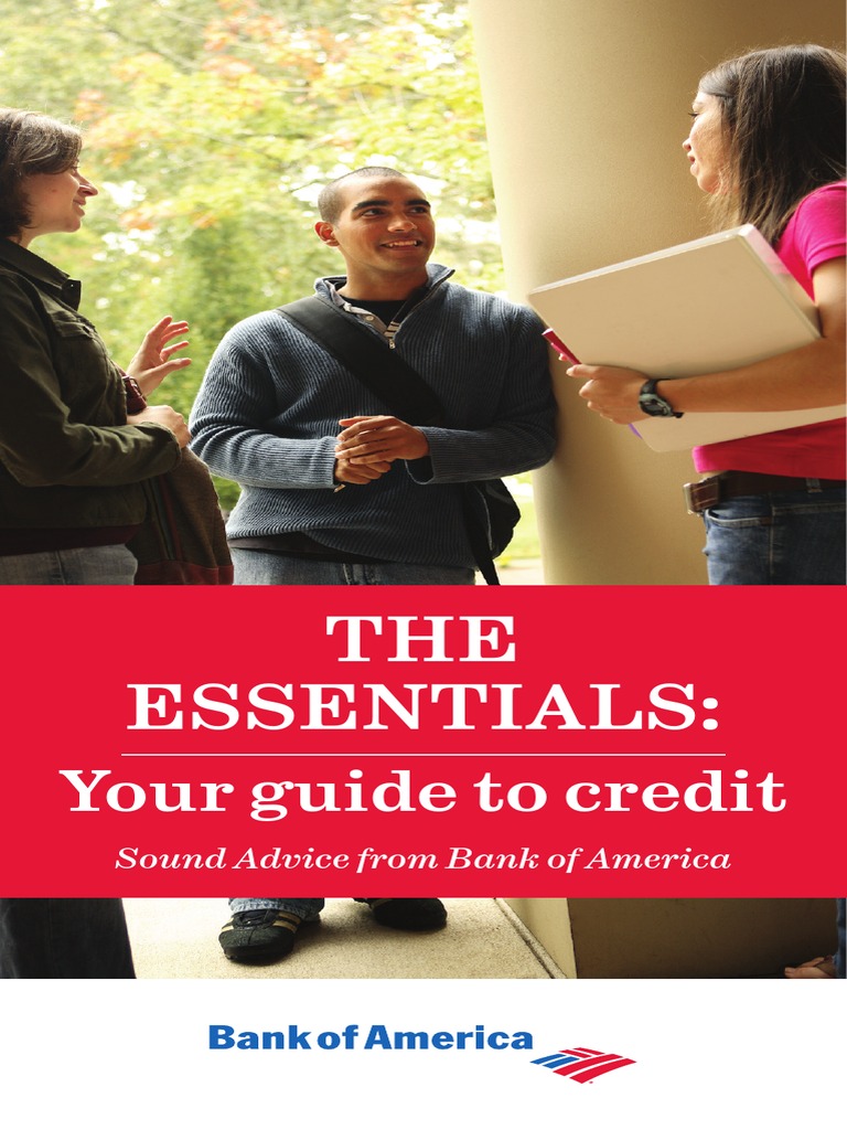 The Essentials. Our Guide To Credit | PDF | Credit History | Credit Card