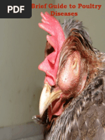 Download A Brief Guide to Poultry Diseases Management by Growel Agrovet Private Limited SN228227969 doc pdf