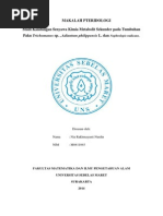 Download MAKALAH PTERIDOLOGI Studi Kandungan Senyawa Kimia Metabolit Sekunder Pada Tumbuhan Paku by Nia Rakhmayanti Nurdin SN228229891 doc pdf