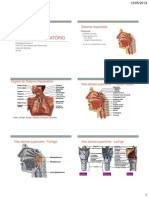 Respiratório Parte 1