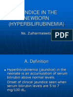 Jaundice in The Newborn (Hyperbilirubinemia) : Ns. Zulharmaswita