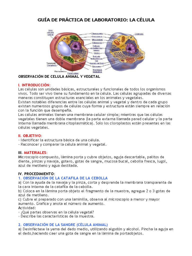 Guía de Práctica de Laboratorio