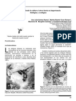 Co5 PDF