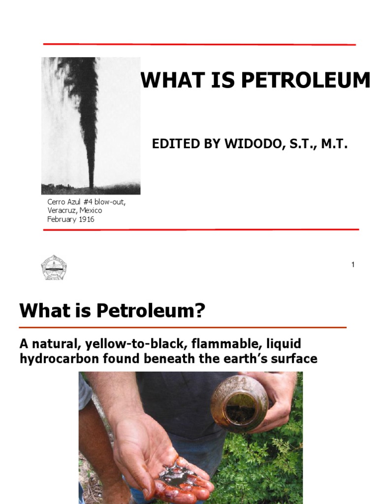 Petroleum Basics for Geoscience Students | PDF | Home & Garden