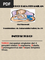 Download JURNAL TORCH  by ghya_311 SN228298437 doc pdf
