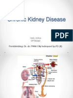 Ckd (chronic kidney disease)