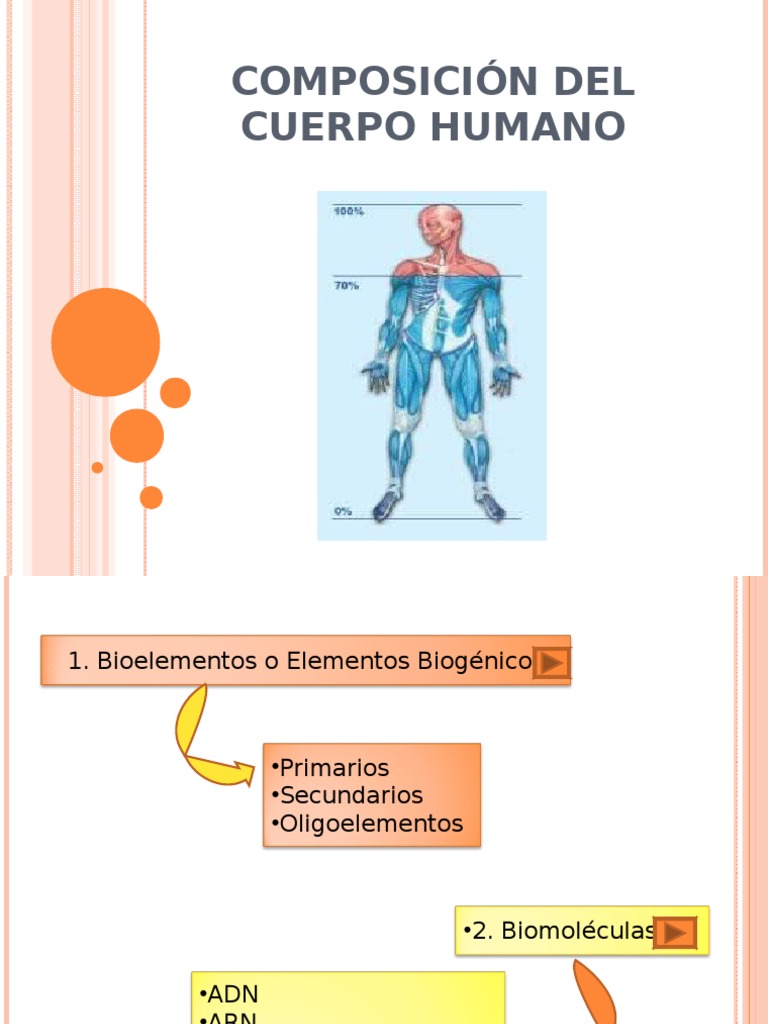 Composición Química del Cuerpo Humano | PDF | Biomoléculas | Organismos