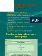 Composicion Del Ser Humano 1 1