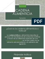 Cadena Alimenticia