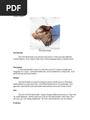 kaiden animal report