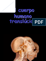 El Cuerpo Human o Trans Lucido