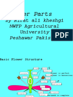 Flower Parts: by Rifat Ali Kheshgi NWFP Agricultural University Peshawar Pakistan