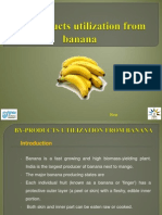 By-Products Utilization From Banana (1) - 1