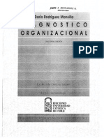 Rodriguez, D. DIAGNOSTICO ORGANIZACIONAL Cap. 9 Diagnóstico Del Clima Organizacional