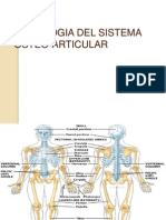 Histologia Del Sistema Osteo Articular