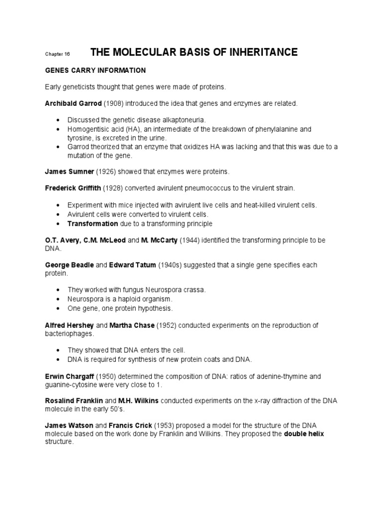 Chapter 16 PDF Dna Replication Primer (Molecular Biology)