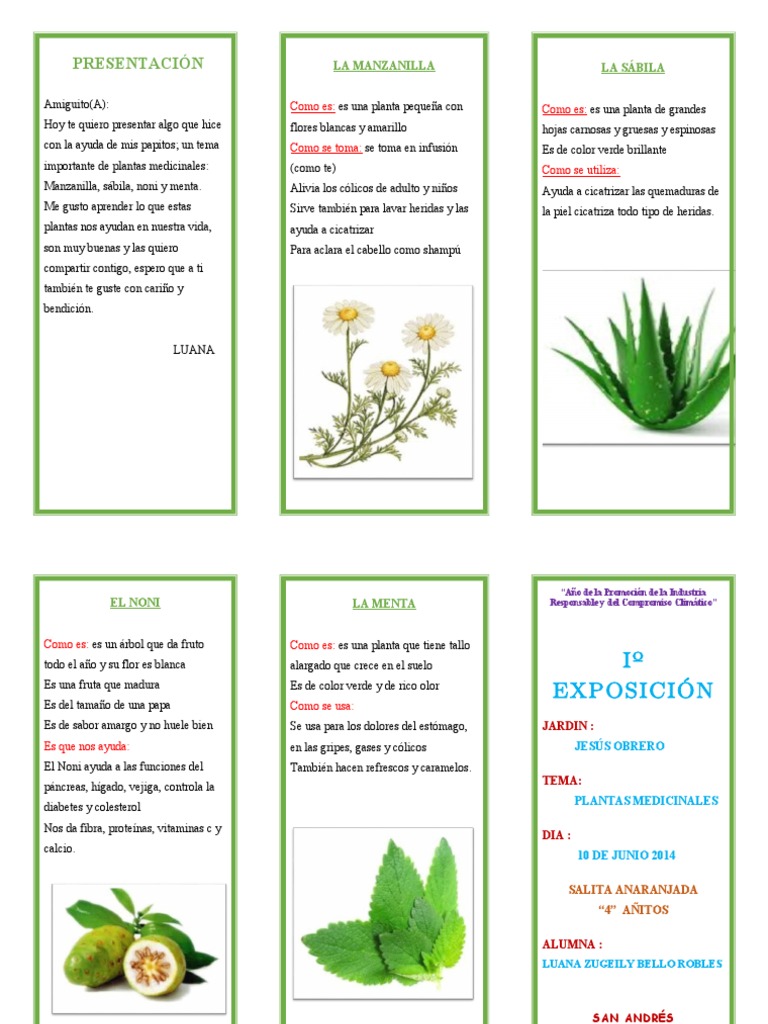 Triptico Plantas Medicinales
