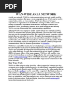 Download Wan-wide Area Network by ajaydashora14 SN22839409 doc pdf