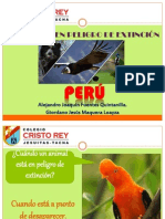 Animales en Extinción-Perú Ale y Giordano2