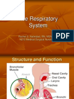 Respiratory Ppt Sp 09