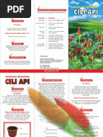 Download cara penanaman cili api by donzenci SN22840816 doc pdf
