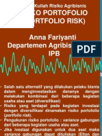 Risk Portfolio