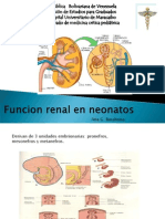 Funcion Renal en Neonatos