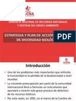 Estrategia y Plan de Accion Regional de Diversidad