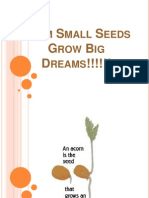 How Seeds Inspire Growth and Dreams