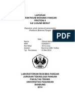 Laporan Protein II (Logam Berat)