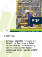 Introduccion A Las Ohsas