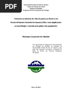 Tese Henrique Lazzarotto 2014 FINAL