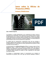 Consideraciones Sobre Pmo PDF
