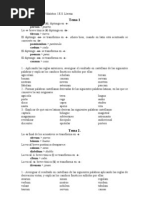 Etimologia Latin Sangre