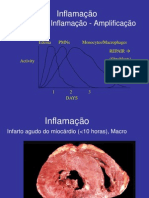 09b Infarto Do Miocardio(Evolutivo)
