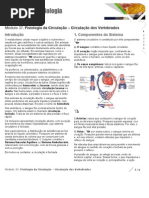 Fisiologia da Circulação – Circulação dos Vertebrados