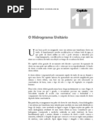 Cap 11 - Hidrograma Unitário