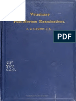 Veterinary Post-Mortem Examination