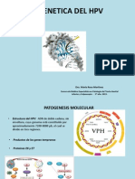 Epigenetica Del HPV (1)