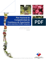 Plan Nacional Frambuesas